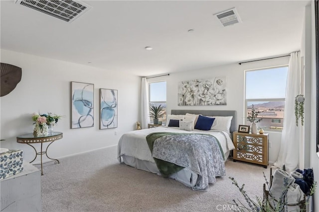 27214 Felsic Dr, Menifee, CA 92585 - photo 43