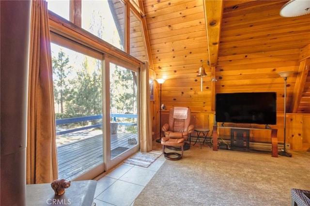 6253 Cardinal Rd, Wrightwood, CA 92397 - photo 19