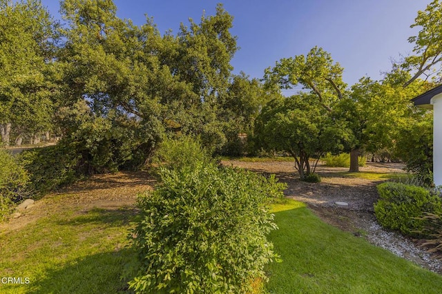 212 Foothill Rd, Ojai, CA 93023 - photo 30