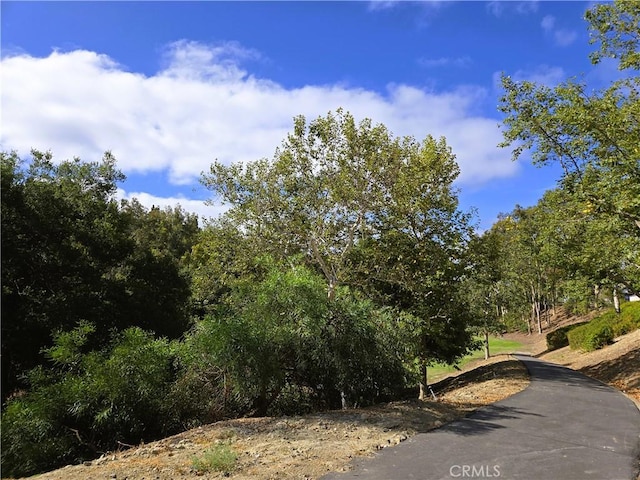 27241 Las Nieves, Mission Viejo, CA 92691 - photo 28