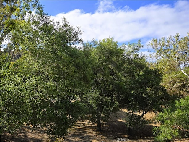 27241 Las Nieves, Mission Viejo, CA 92691 - photo 29