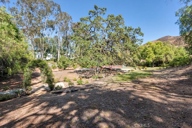 4228 Saddlecrest Ln, Westlake Village, CA 91361 - photo 54