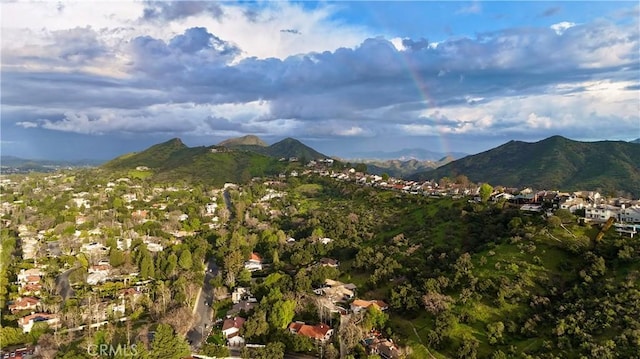 4228 Saddlecrest Ln, Westlake Village, CA 91361 - photo 59