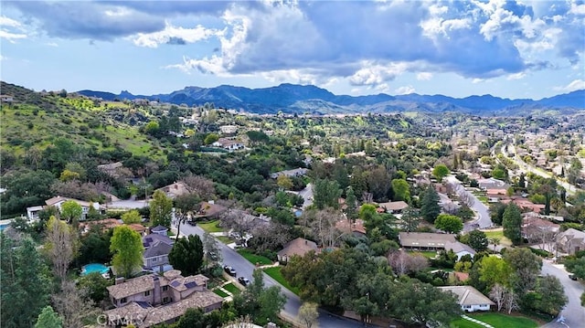 4228 Saddlecrest Ln, Westlake Village, CA 91361 - photo 58