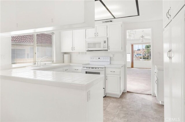 1886 Ash Tree Ln, Hemet, CA 92545 - photo 12