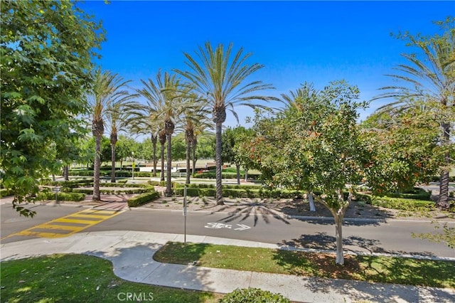 9 Viburnum Way, Ladera Ranch, CA 92694 - photo 19