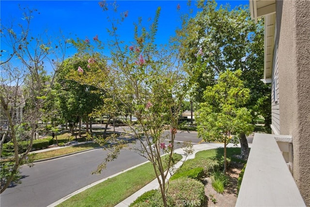 9 Viburnum Way, Ladera Ranch, CA 92694 - photo 15