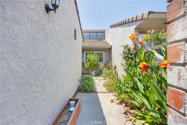 4 Camphor S, Irvine, CA 92612 - photo 38