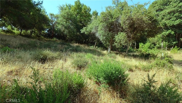 9523 Tenaya Way, Kelseyville, CA 95451 - photo 4