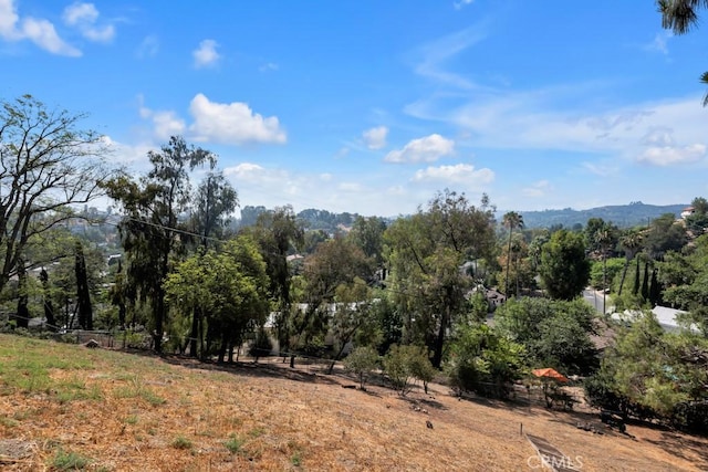 22210 Miston Dr, Woodland Hills, CA 91364 - photo 32