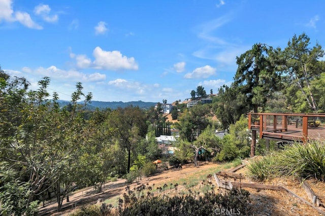 22210 Miston Dr, Woodland Hills, CA 91364 - photo 29