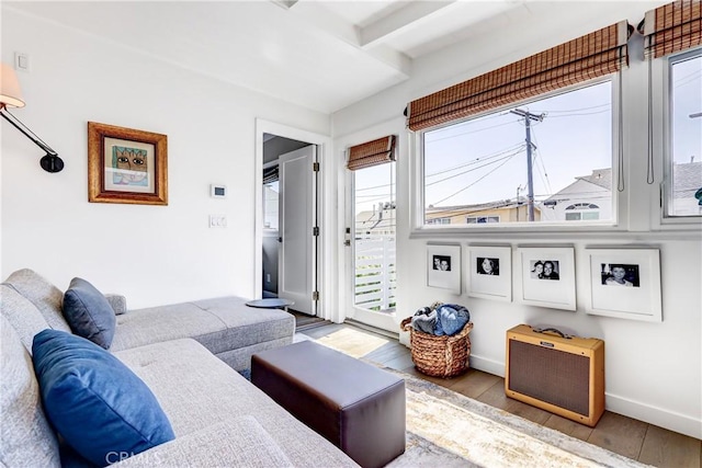 316 5th St, Manhattan Beach, CA 90266 - photo 39