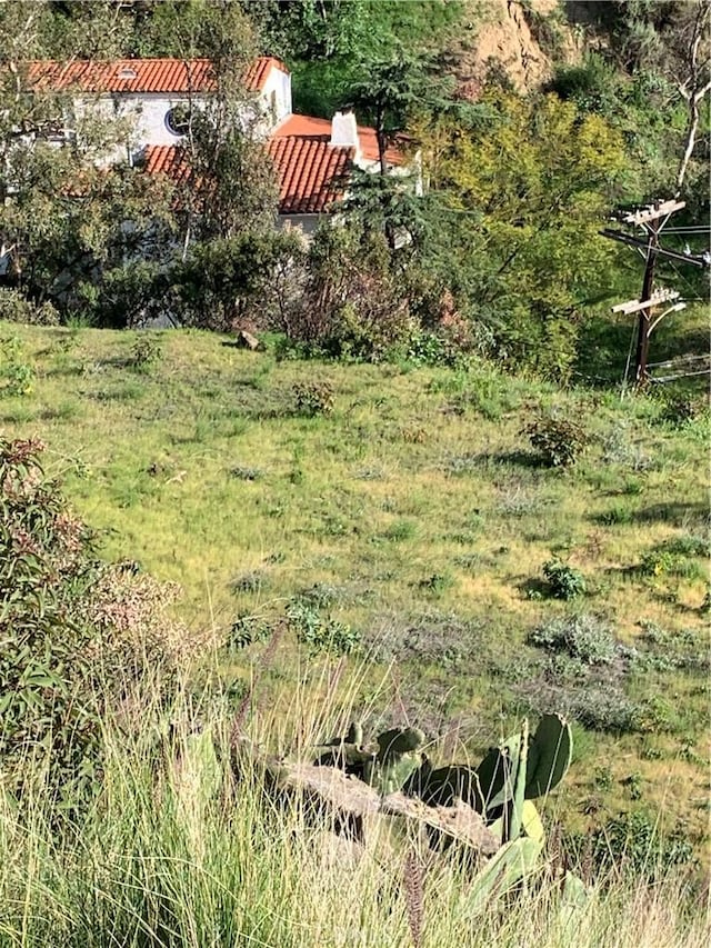 1 Nesmuth, Glendale, CA 91202 - photo 8