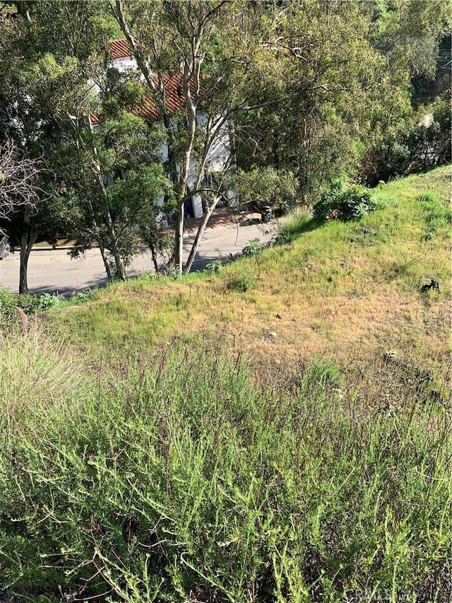 1 Nesmuth, Glendale, CA 91202 - photo 10