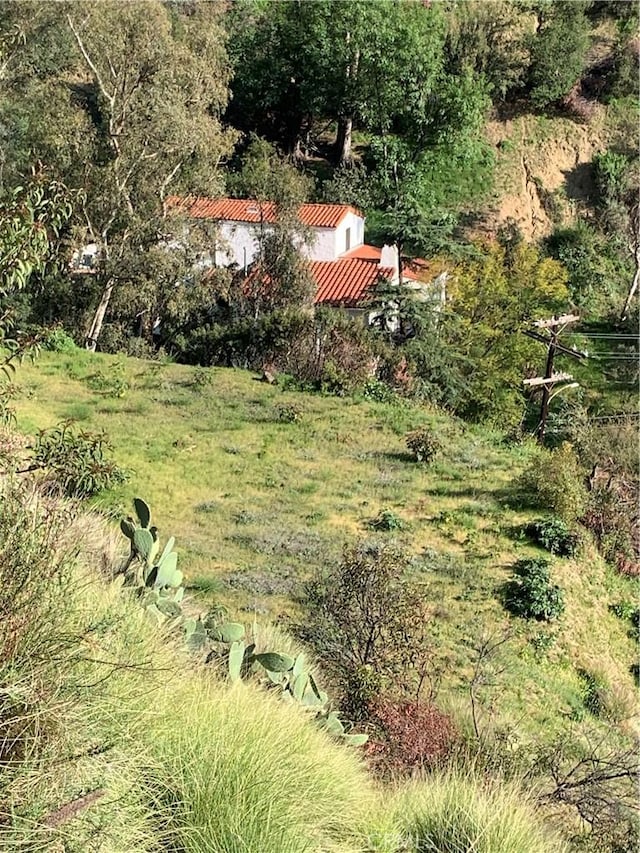 1 Nesmuth, Glendale, CA 91202 - photo 4