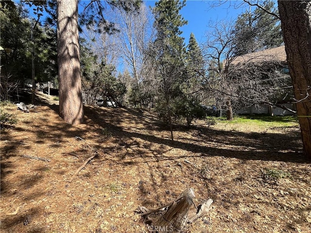 0 Robin Oak Dr, Angelus Oaks, CA 92305 - photo 4