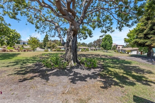 512 Allspice Way, Oceanside, CA 92057 - photo 23