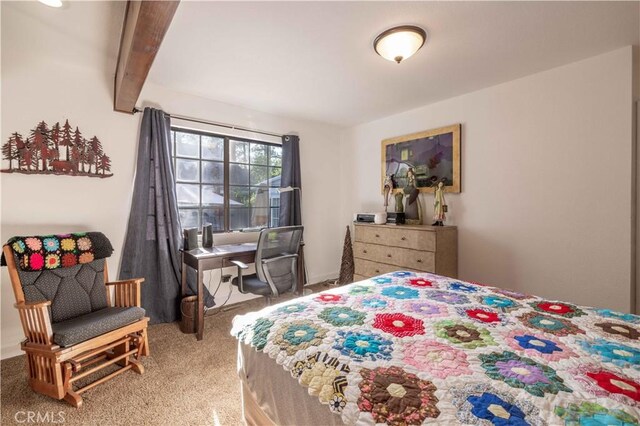 433 E Barker Blvd, Big Bear City, CA 92314 - photo 25