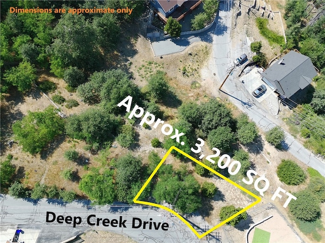 2344 Deep Creek Dr, Running Springs, CA 92382 - photo 4