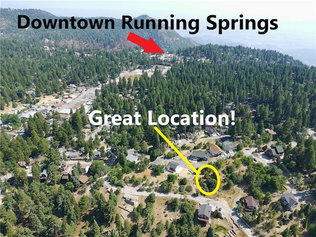 2344 Deep Creek Dr, Running Springs, CA 92382 - photo 6