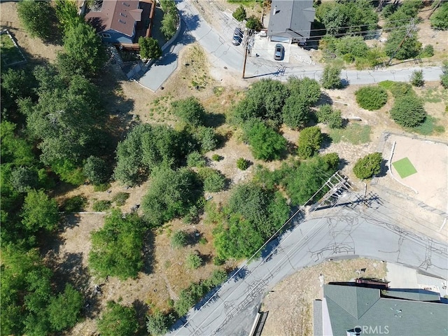 2344 Deep Creek Dr, Running Springs, CA 92382 - photo 17