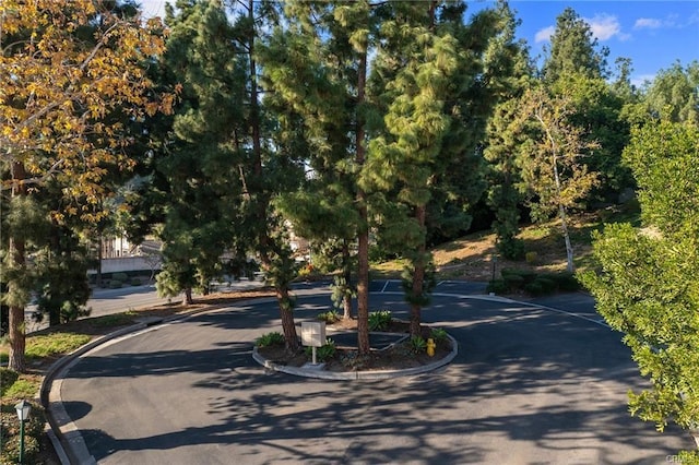 1826 Vista Del Oro, Fullerton, CA 92831 - photo 65