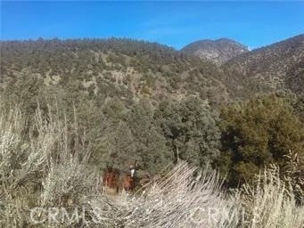 14208 Yellowstone Dr, Pine Mountain Club, CA 93222 - photo 1