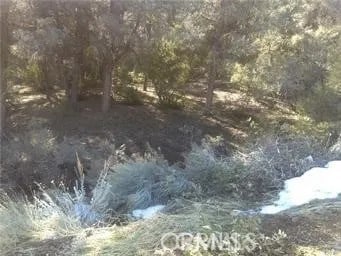 14208 Yellowstone Dr, Pine Mountain Club, CA 93222 - photo 5
