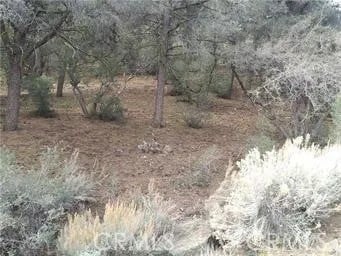 14208 Yellowstone Dr, Pine Mountain Club, CA 93222 - photo 4