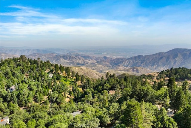 20 Oak Leaf Ln, Running Springs, CA 92382 - photo 41