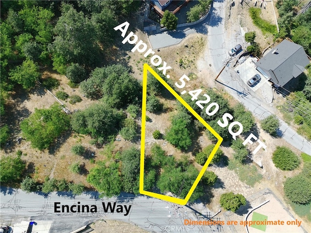 31912 Encina Way, Running Springs, CA 92382 - photo 9