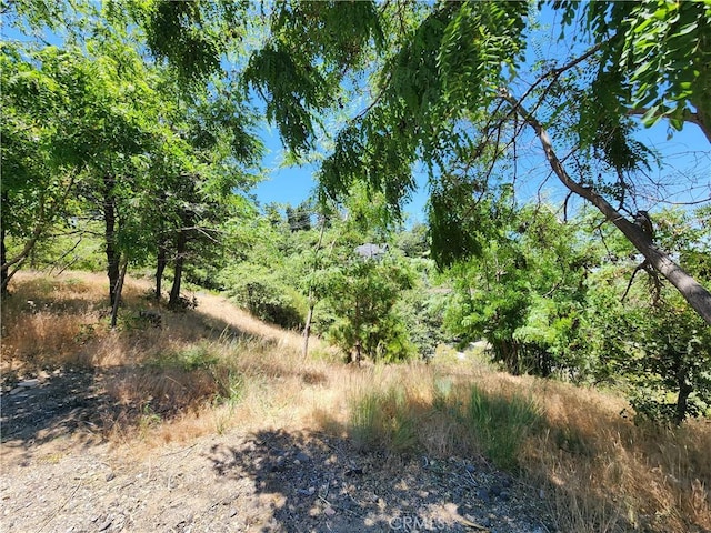 31912 Encina Way, Running Springs, CA 92382 - photo 26