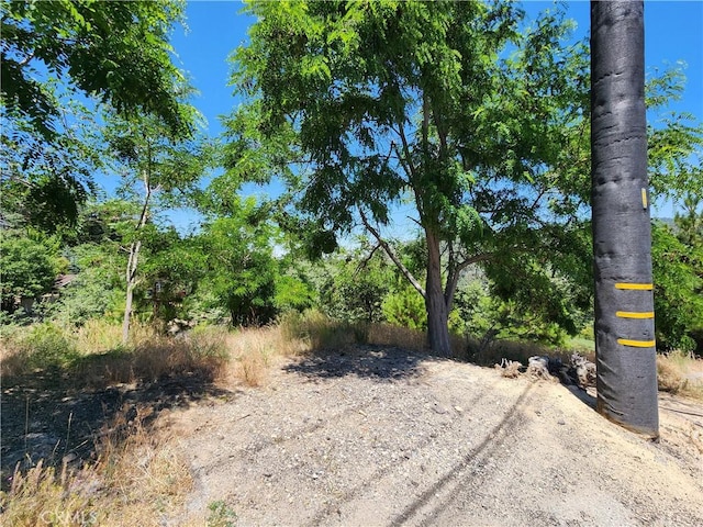 31912 Encina Way, Running Springs, CA 92382 - photo 18