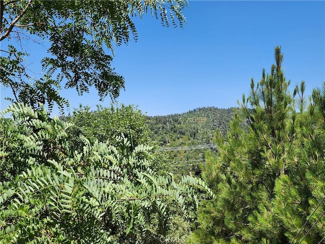 31912 Encina Way, Running Springs, CA 92382 - photo 25