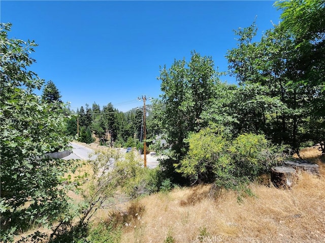 31912 Encina Way, Running Springs, CA 92382 - photo 23
