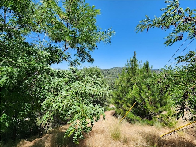 31912 Encina Way, Running Springs, CA 92382 - photo 4