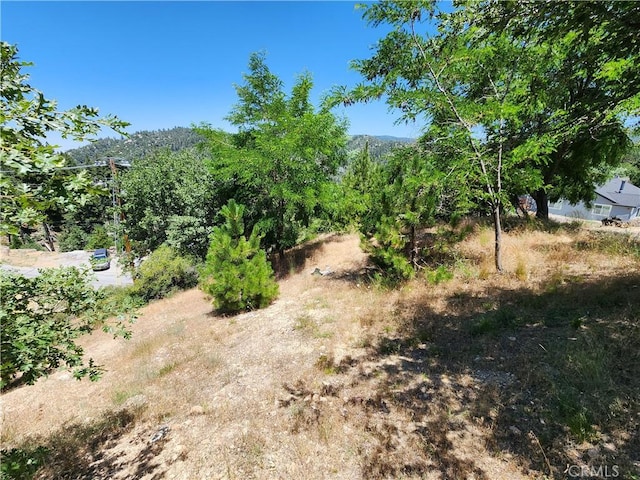 31912 Encina Way, Running Springs, CA 92382 - photo 5