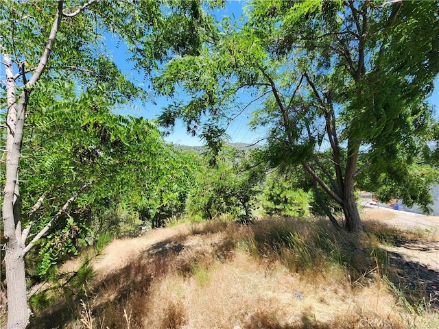 31912 Encina Way, Running Springs, CA 92382 - photo 20