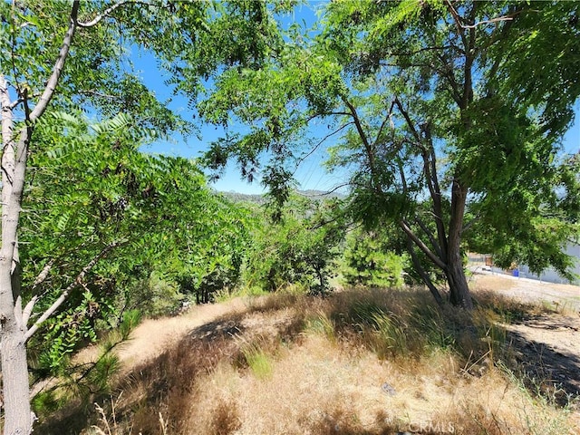 31912 Encina Way, Running Springs, CA 92382 - photo 3