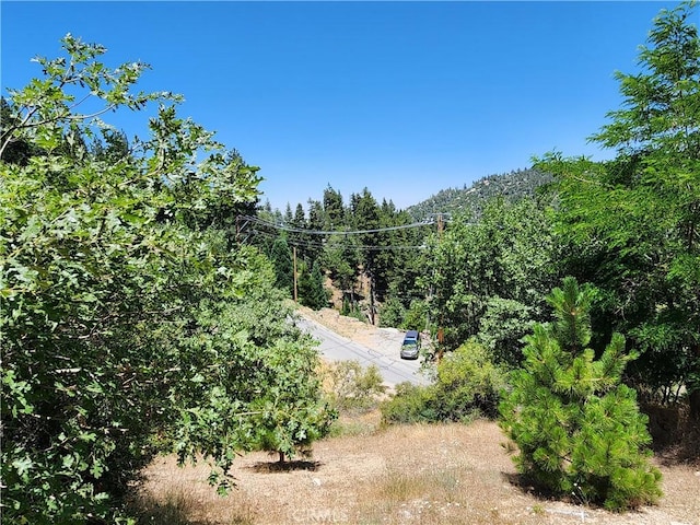 31912 Encina Way, Running Springs, CA 92382 - photo 22