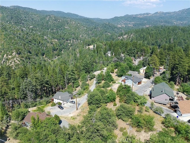 31912 Encina Way, Running Springs, CA 92382 - photo 12