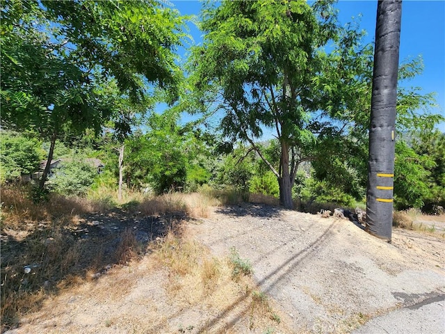 31912 Encina Way, Running Springs, CA 92382 - photo 19