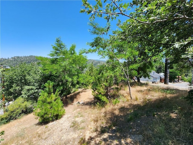 31912 Encina Way, Running Springs, CA 92382 - photo 2