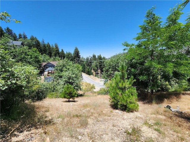 31912 Encina Way, Running Springs, CA 92382 - photo 21