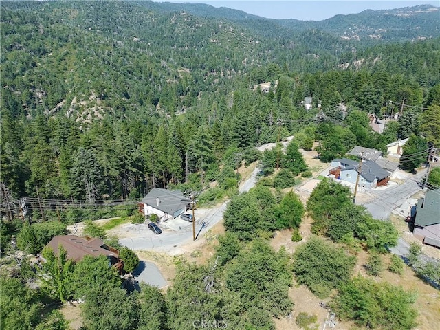 31912 Encina Way, Running Springs, CA 92382 - photo 11
