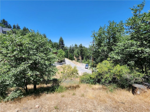 31912 Encina Way, Running Springs, CA 92382 - photo 24