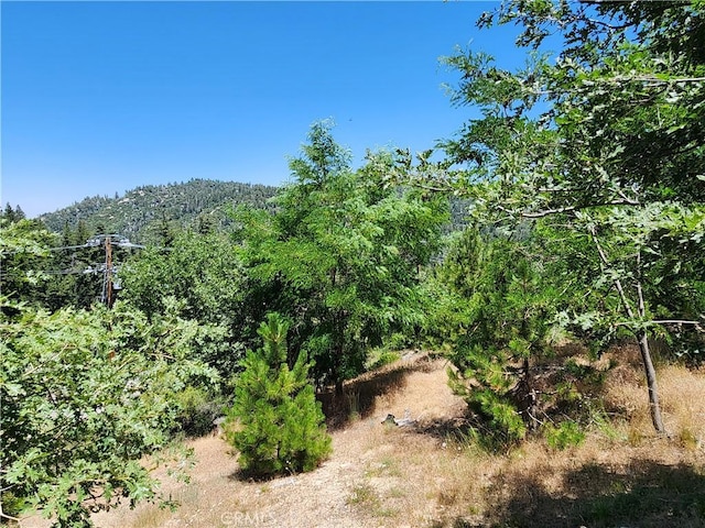 31912 Encina Way, Running Springs, CA 92382 - photo 1