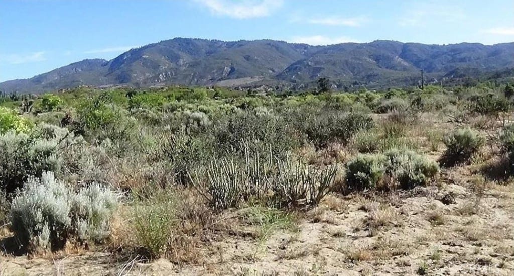 4 Old Forest Rd, Anza, CA 92539 - photo 1