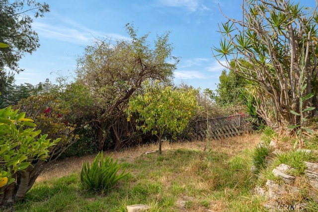 2052 N Alvarado St N, Los Angeles, CA 90039 - photo 45