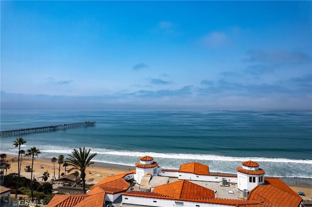 412 Arenoso Ln Unit 104, San Clemente, CA 92672 - photo 35